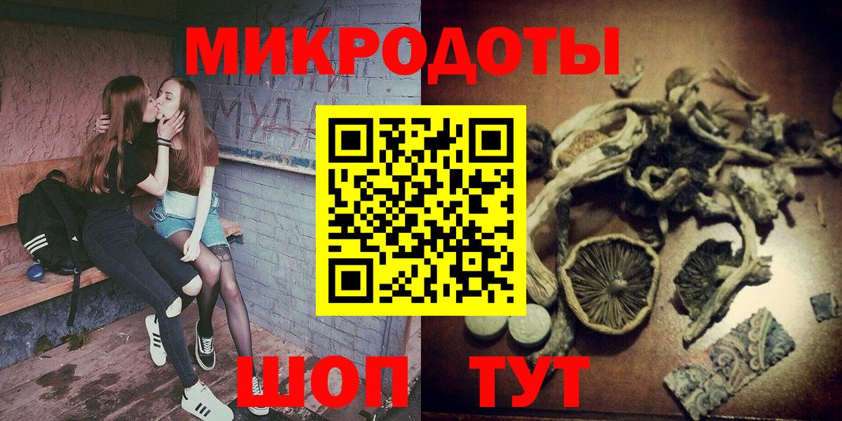 Псилоцибиновые грибы Psilocybe  Вход с VPN  Балашов 