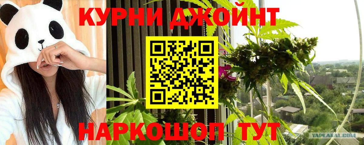 МАРИХУАНА гибрид  Вход с VPN  Балашов  МАРИХУАНА THC 21%  Бошки марихуана планчик  Шишки марихуана MAZAR 